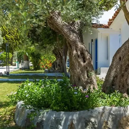 Adella Garden Marina فندق كوشاداسيه